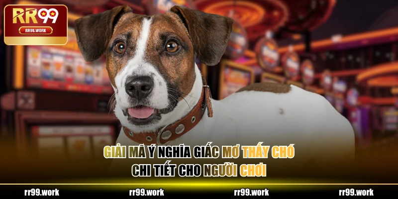 Giải mã ý nghĩa giấc mơ thấy chó chi tiết cho người chơi